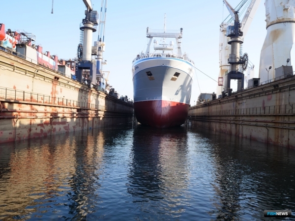 Исторический день &laquo;Георгия Мещерякова&raquo;