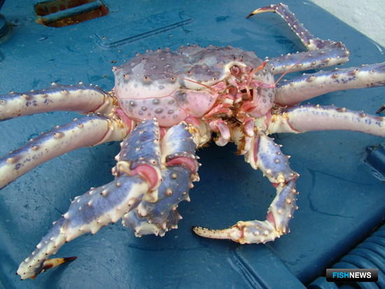 Минпромторг внес изменения в регламент для экспорта Минпромторг внес изменения в регламент для экспорта