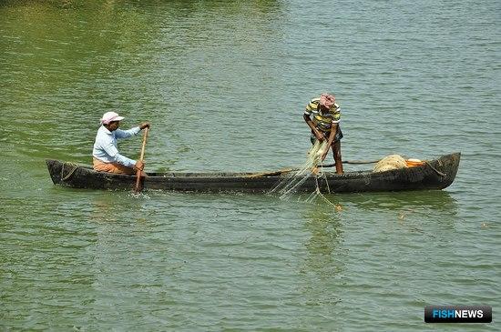 Рыбакам-кустарям и аквафермерам приготовили Международный год