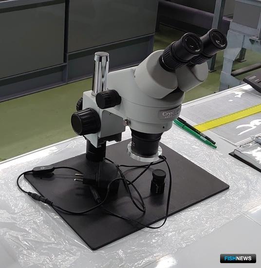 Россельхознадзор предложил новые правила ветсертификации