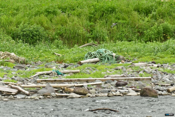 Мусорный &laquo;урожай&raquo; с камчатского побережья исследовали ученые