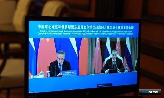 Юрий Трутнев предложил Китаю подумать над &laquo;зелеными коридорами&raquo;