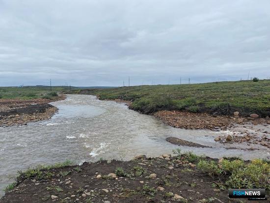 Норильские воды оправляются от топливного удара Норильские воды оправляются от топливного удара