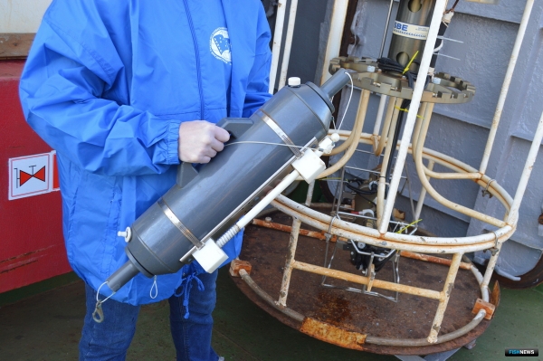 ТИНРО изучит зимовку лососей в Тихом океане