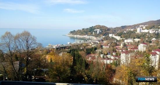 Участки под марифермы вблизи Сочи выставили на торги