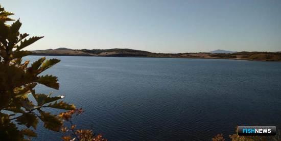 Аквафермеры Приморья продолжают борьбу за участки