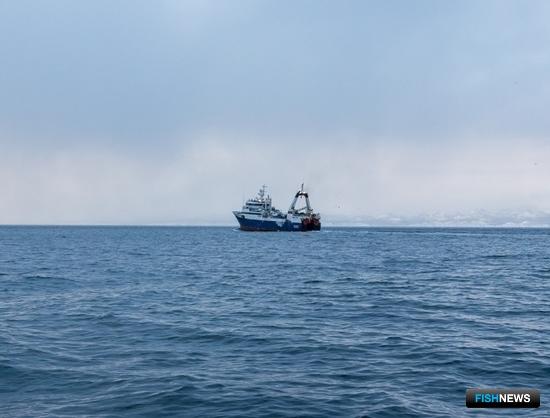 Законопроект по инвестквотам и аукционам вышел на обсуждение