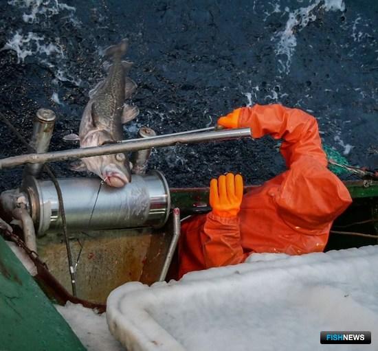 Инвестквоты разошлись по компаниям