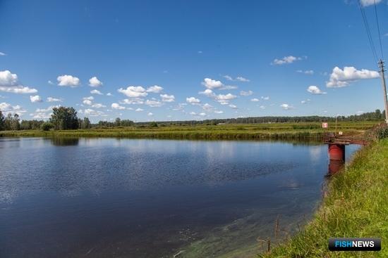 В правилах мелиорации прописали расчистку рек и труд рыб В правилах мелиорации прописали расчистку рек и труд рыб