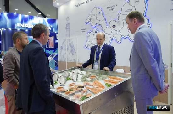 Seafood Expo Russia прирастет новыми участниками Seafood Expo Russia прирастет новыми участниками