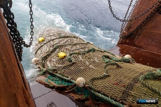 Допустимые уловы на Севере поделили по направлениям