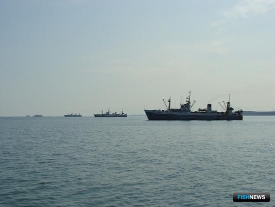 ВАРПЭ высказалась по новым инвестквотам и аукционам ВАРПЭ высказалась по новым инвестквотам и аукционам