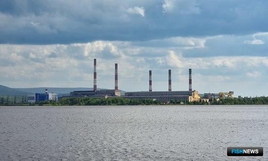 Рыбоводам предложили участки на Урале