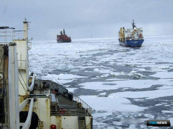 Поморье предложило меры по рыбной загрузке Севморпути