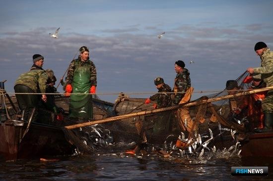 Регионам обновили регламент для конкурсов по рыболовным участкам