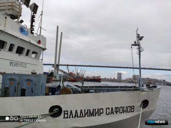 Потепление воды повлияло на лососей Потепление воды повлияло на лососей