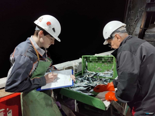 Ученые собрали данные о рыбных запасах в районе Марокко