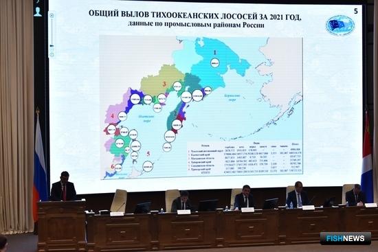 Лососевой путине подвели итог Лососевой путине подвели итог