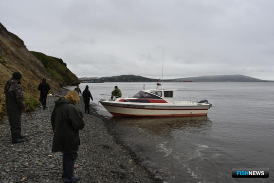 На Чукотке расследуют дело о браконьерстве с участием КМНС