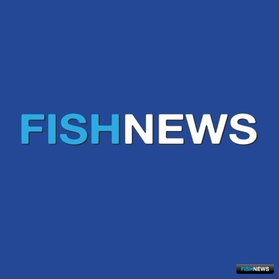 Работу Fishnews отметили рыбаки Севера Работу Fishnews отметили рыбаки Севера