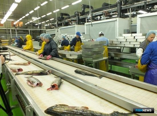 Россельхознадзор готовится к изменениям закона о ветеринарии Россельхознадзор готовится к изменениям закона о ветеринарии