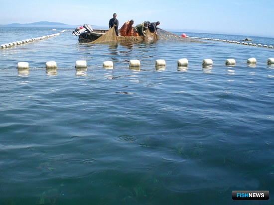 Среди КМНС Приморья разыграют участки под промысел