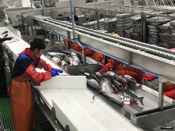 &laquo;Дальрыбтехцентр&raquo; продолжает решать задачи, которые ставят рыбаки