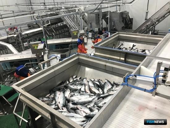 &laquo;Дальрыбтехцентр&raquo; продолжает решать задачи, которые ставят рыбаки