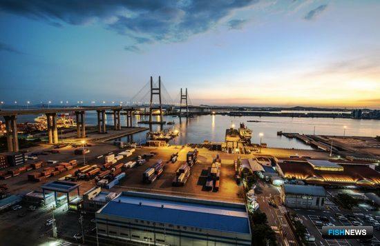 Россия ищет возможности для расшивки узких мест в рыбной логистике Россия ищет возможности для расшивки узких мест в рыбной логистике