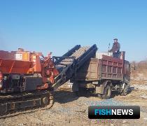 Канадскую рыбу не спасли поддельные документы Канадскую рыбу не спасли поддельные документы