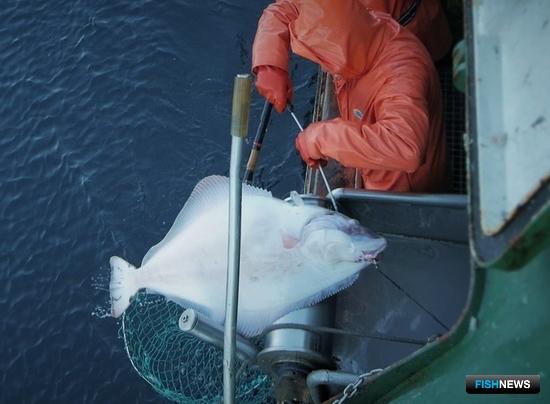 «Инвестиционные резервы» чреваты недоловом «Инвестиционные резервы» чреваты недоловом