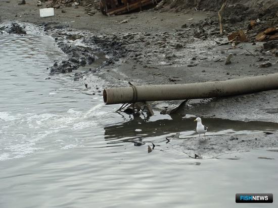 Данным об окружающей среде прописали открытость