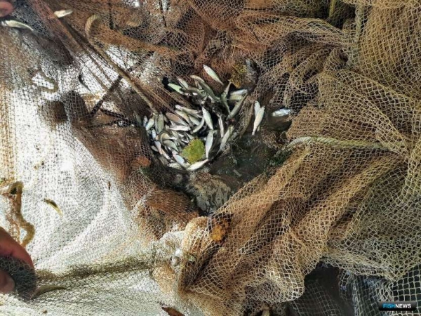 Ученые рассказали о проблемах рек Северного Кавказа