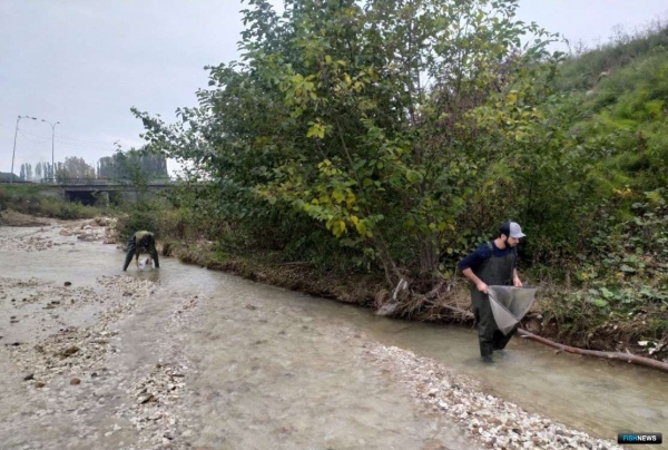 Ученые рассказали о проблемах рек Северного Кавказа