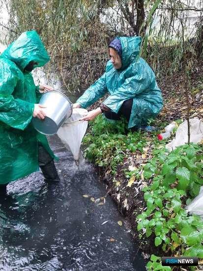 Ученые рассказали о проблемах рек Северного Кавказа