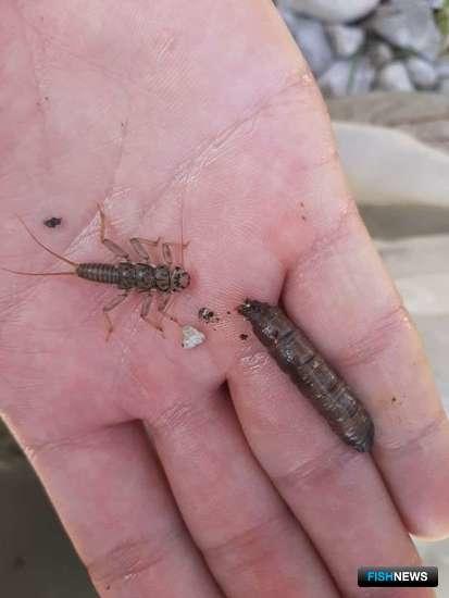 Ученые рассказали о проблемах рек Северного Кавказа