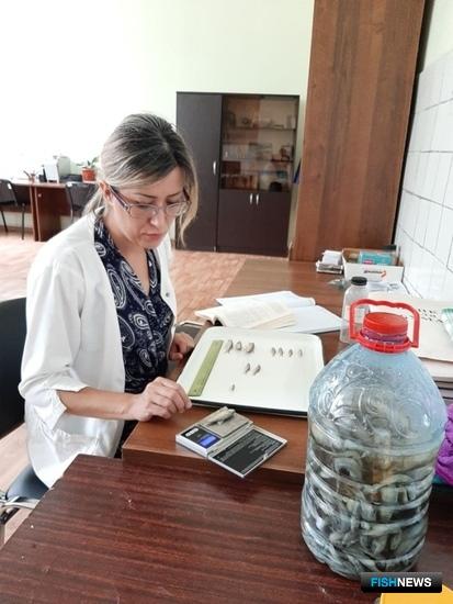 Ученые рассказали о проблемах рек Северного Кавказа