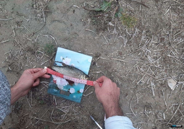 Ученые рассказали о проблемах рек Северного Кавказа