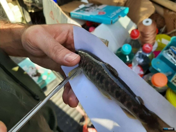 Ученые рассказали о проблемах рек Северного Кавказа