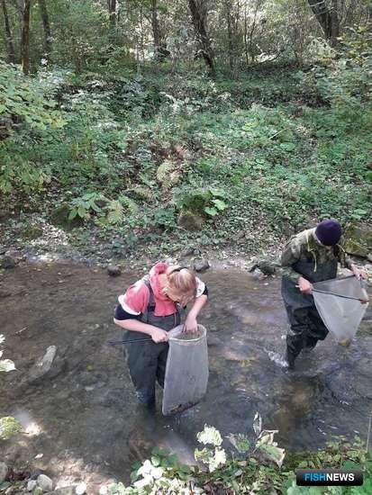 Ученые рассказали о проблемах рек Северного Кавказа