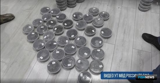 Жительницы Новосибирска погорели на осетровой икре