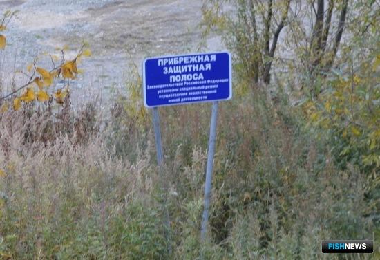 Правила создания прибрежных защитных полос уточнили