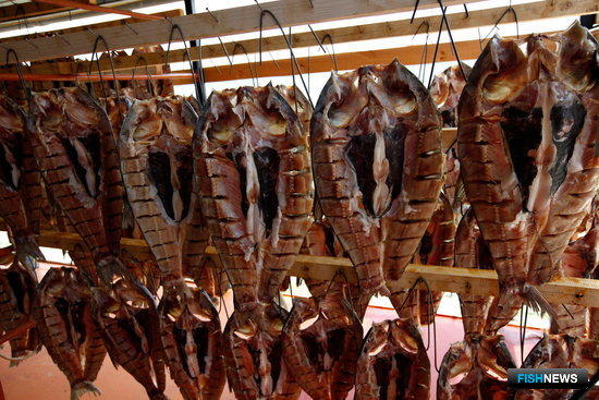 Кубань вложится в рыбопереработку