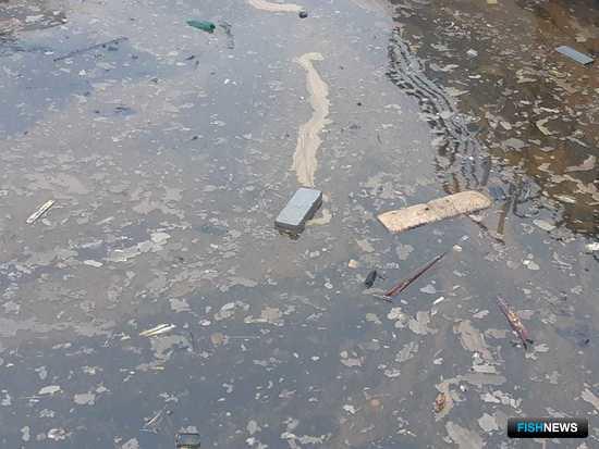 На борьбу с нефтеразливами призвали новые штрафы