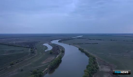 Участки в Нижнем Поволжье предлагают для промысла Участки в Нижнем Поволжье предлагают для промысла