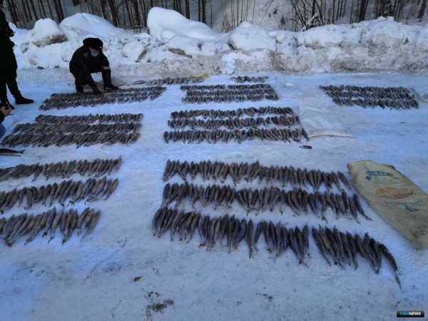 Рыбоохрана Югры задержала богатый улов