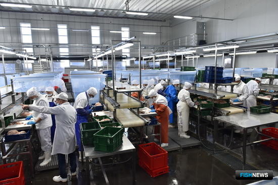 Проектам ТОР &laquo;Надеждинская&raquo; помогут с инфраструктурой