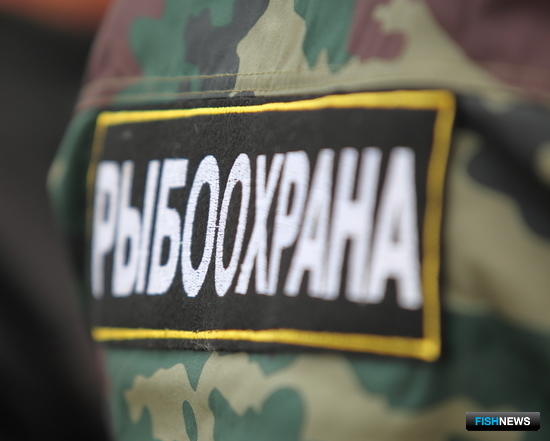 Рыбоохране определили флажки &mdash; признаки нарушений