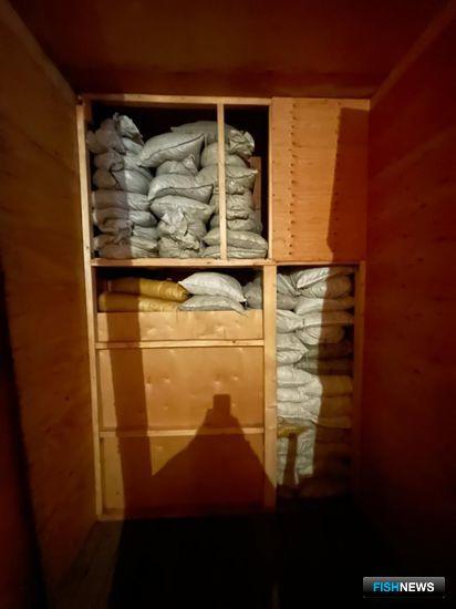 Пограничники Приморья нашли «трепанговый клад» Пограничники Приморья нашли «трепанговый клад»