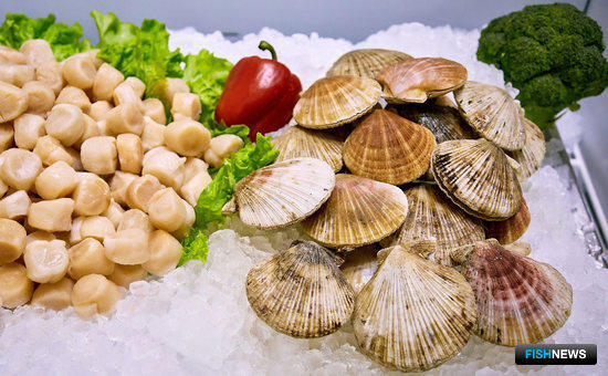 Что меняется в 2022 году